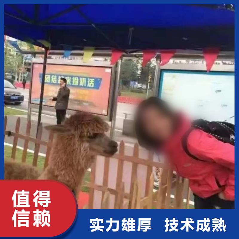 哪有出租動物的點擊查看