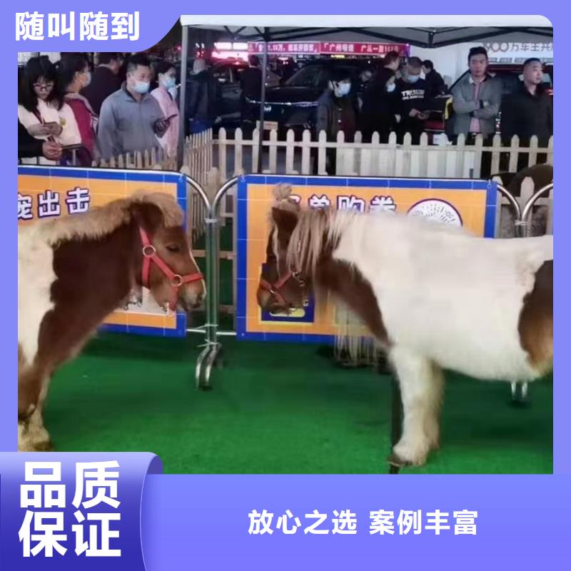 動物展租賃