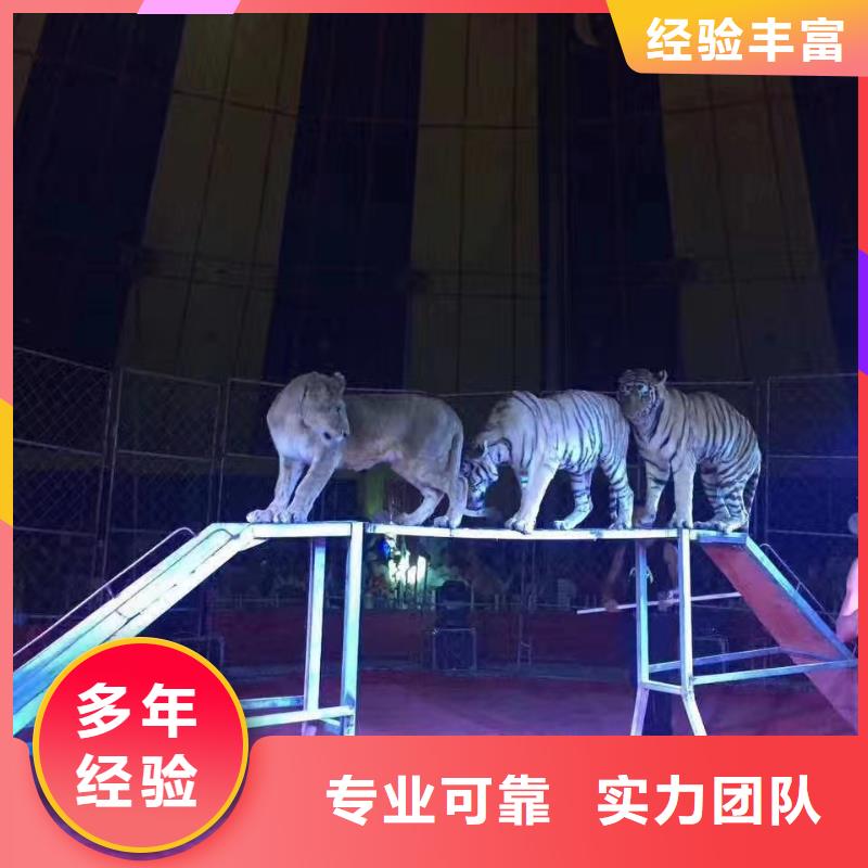 萌寵動物展出租暖場活動