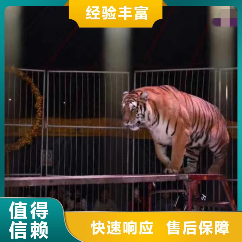 萌寵動物展覽點擊圖片