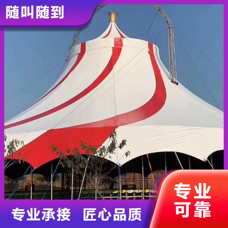 马戏团/羊驼动物表演出租优质服务