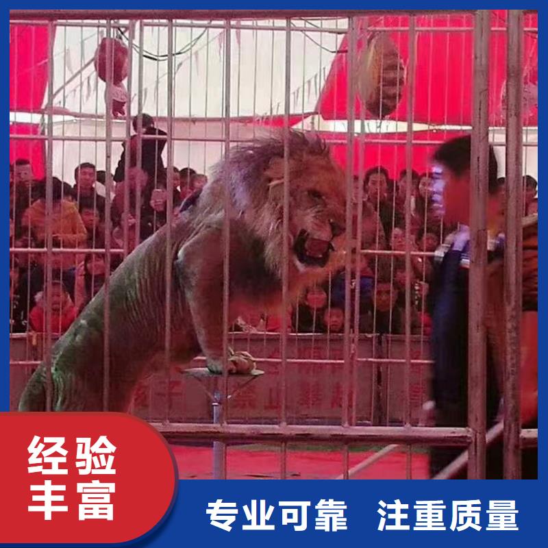 萌寵動物展出租