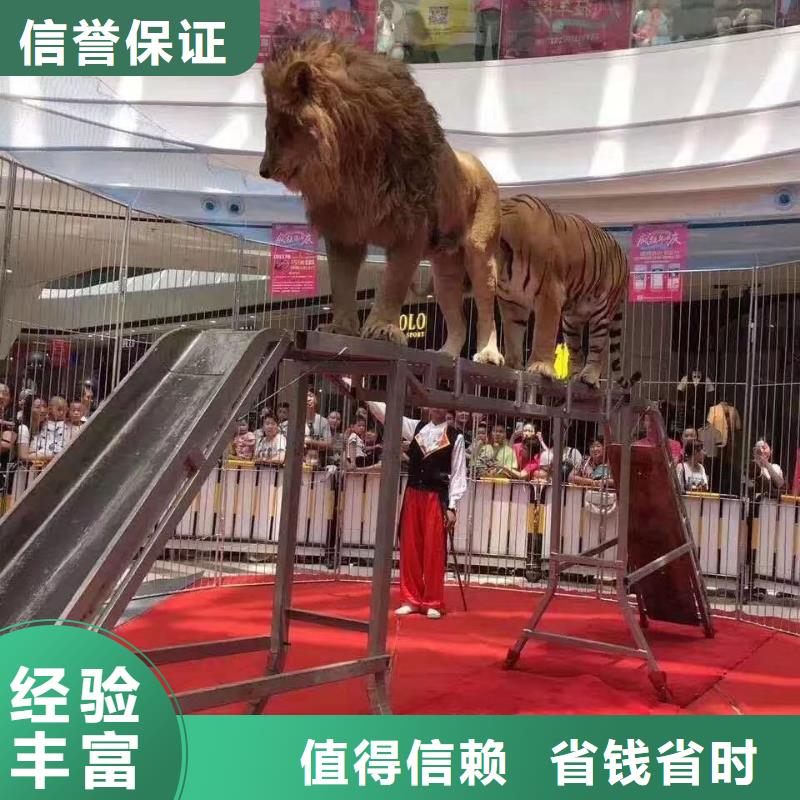 萌寵動物展覽點擊圖片