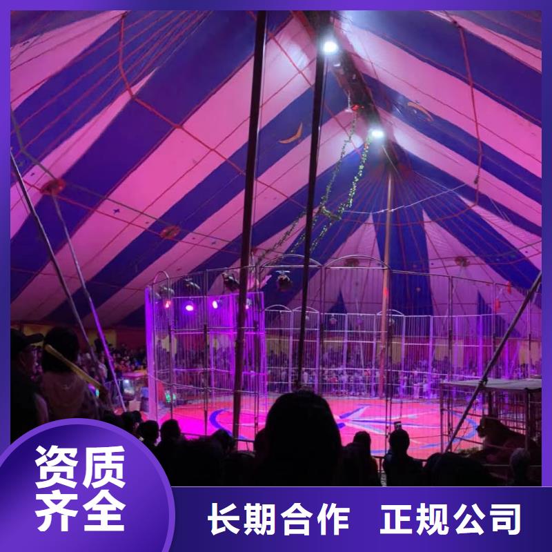 马戏团/羊驼鹦鹉表演放心