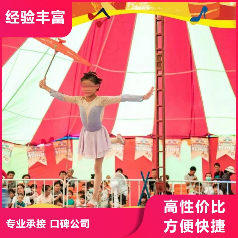 馬戲團(tuán)/羊駝羊駝表演品質(zhì)保證