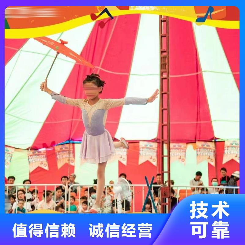 馬戲團(tuán)/羊駝 動(dòng)物雜技表演租賃資質(zhì)齊全