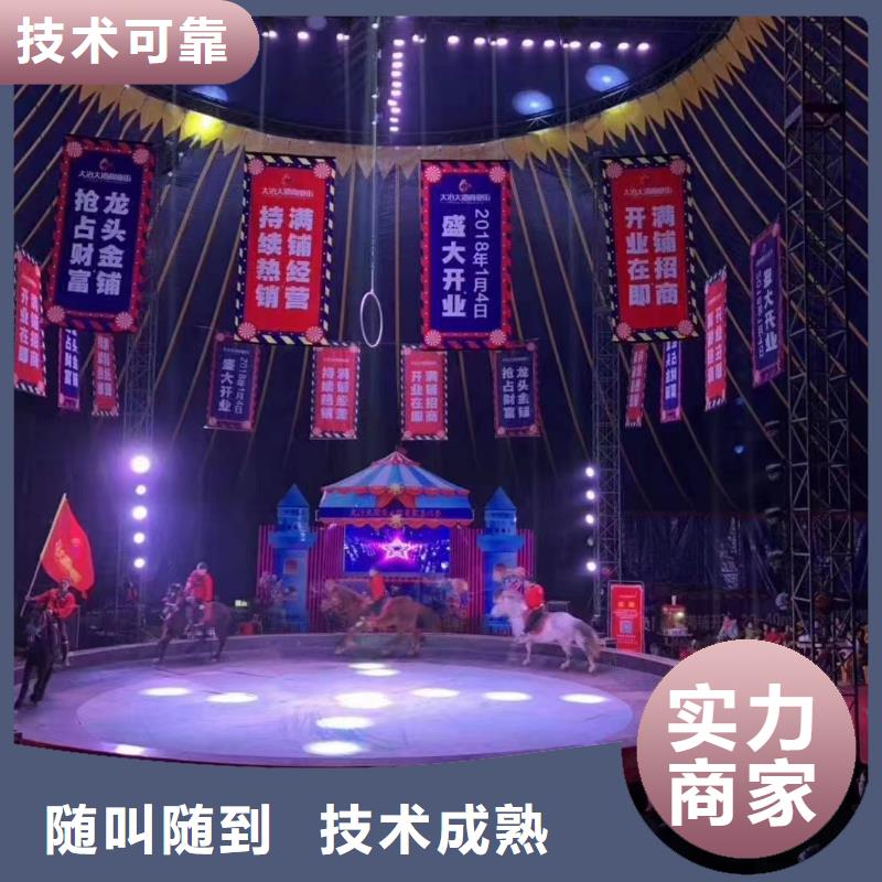 羊驼租赁马戏团表演按需定制