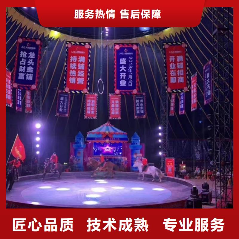 馬戲團(tuán)/羊駝出租馬戲團(tuán)表演專業(yè)公司