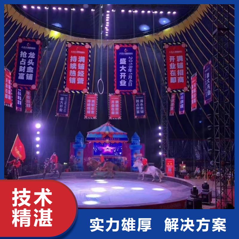 哪有出租马戏团表演的暖场活动