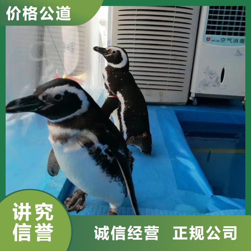 海洋生物展出租公司活動方案