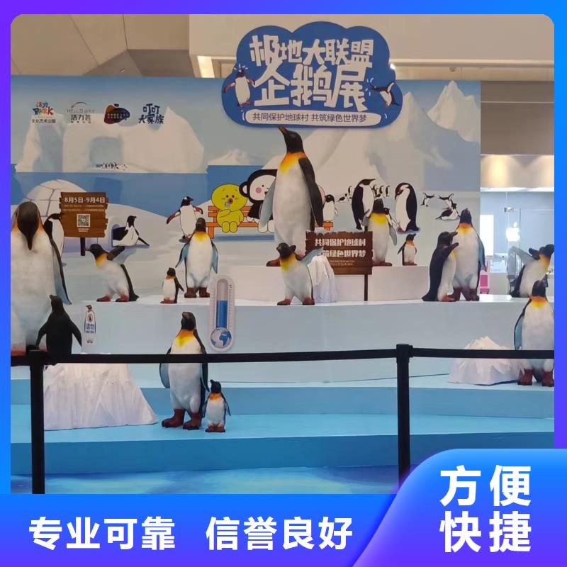 【海洋主題動物表演海洋展租賃快速】