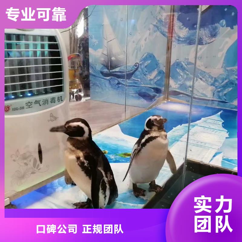 海洋生物展租賃主題展覽