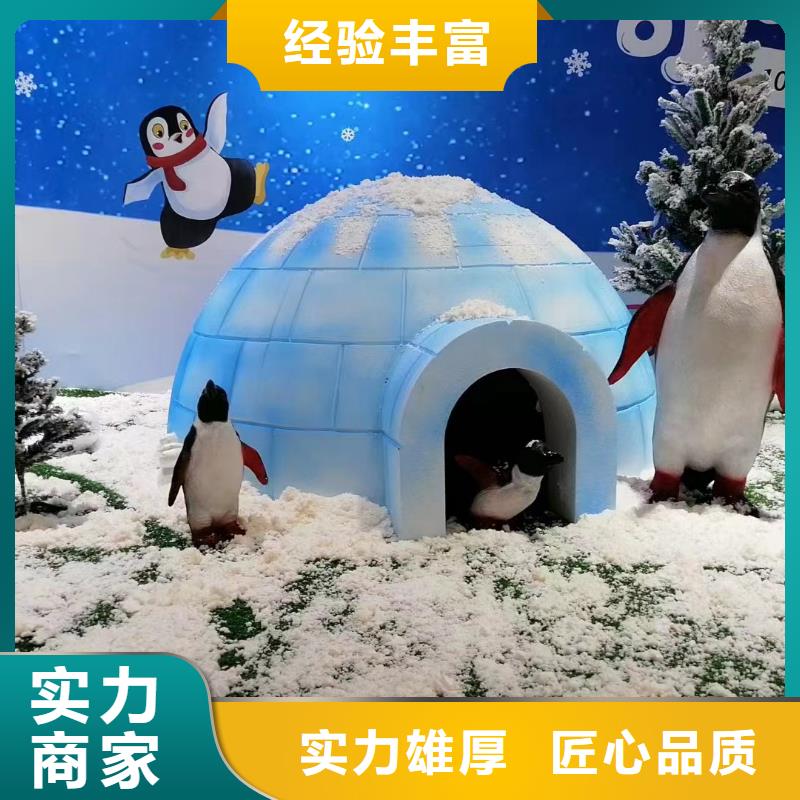 海洋主題動物表演馬戲團表演質量保證