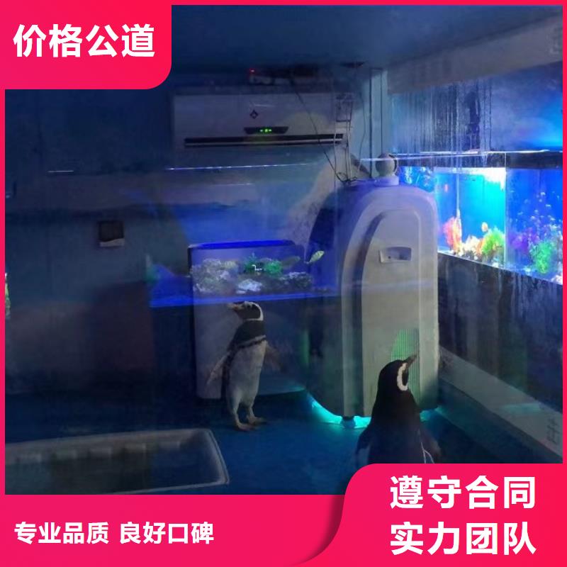 海洋生物展出租一手資源