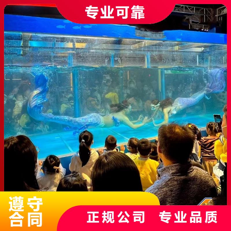 海洋主題動物表演-動物表演價格低于同行