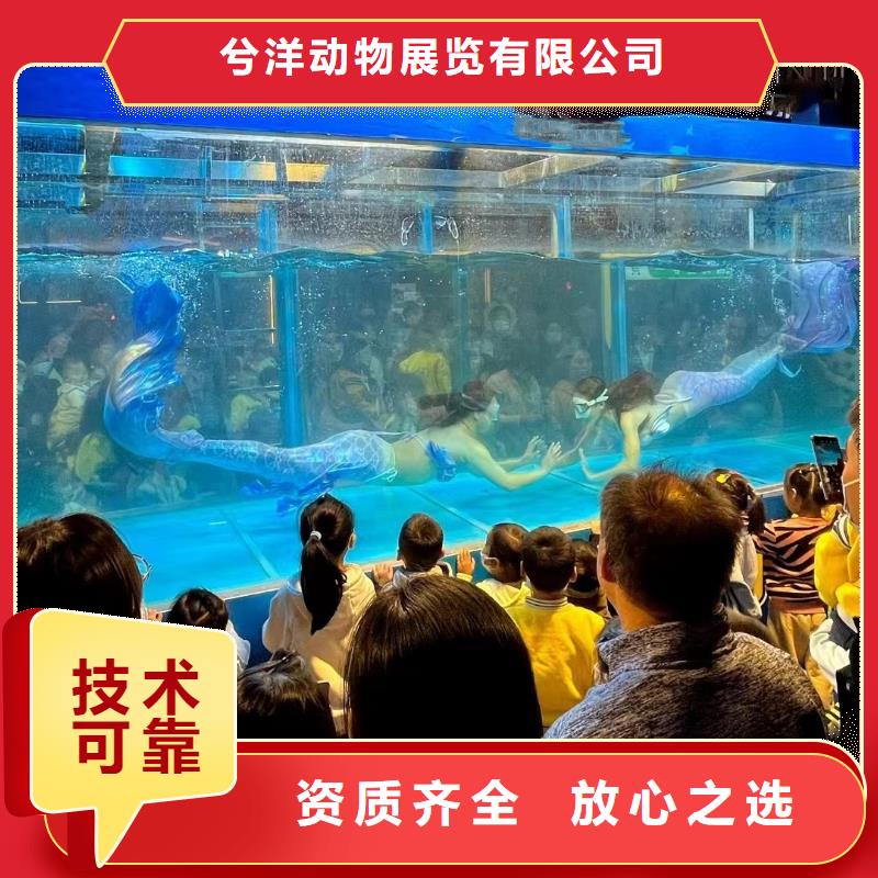 海洋展租賃廠家總部