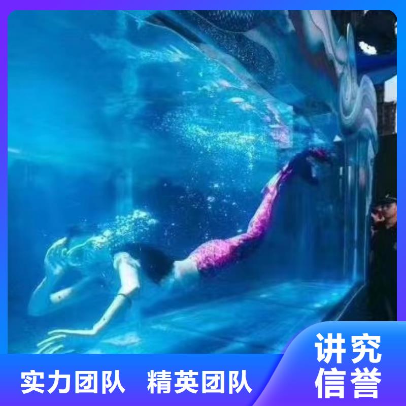 出租海獅哪里有