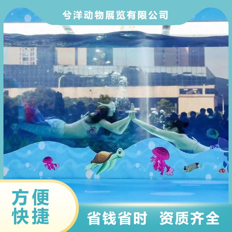 海洋展出租圖片