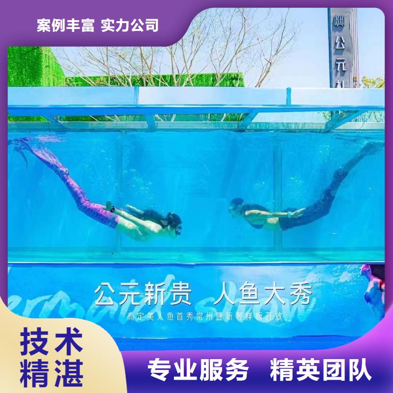 海洋主題動物表演出租海獅表演品質服務