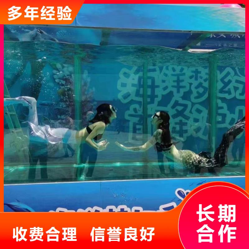 海洋主題動物表演【美人魚出租演出】案例豐富