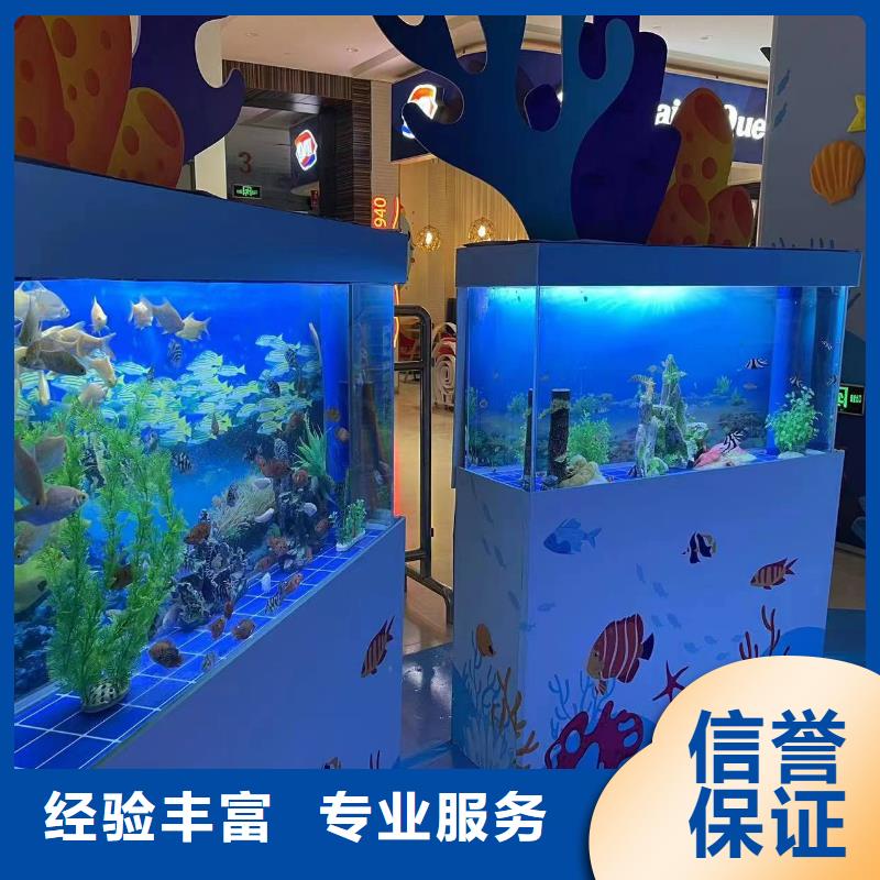 海洋主題動物表演 【鸚鵡表演】技術精湛