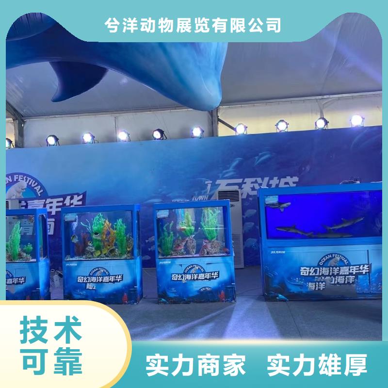 海洋生物展出租