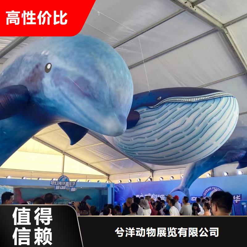 海洋主題動物表演馬戲團表演出租租賃2025專業的團隊