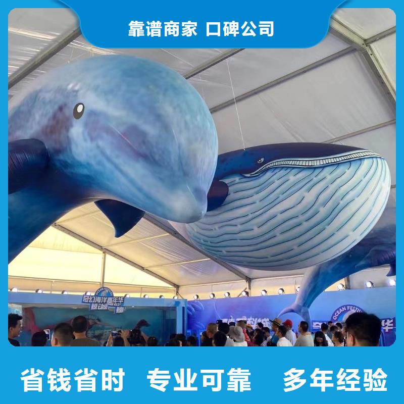 海洋主題動物表演海豚表演專業團隊