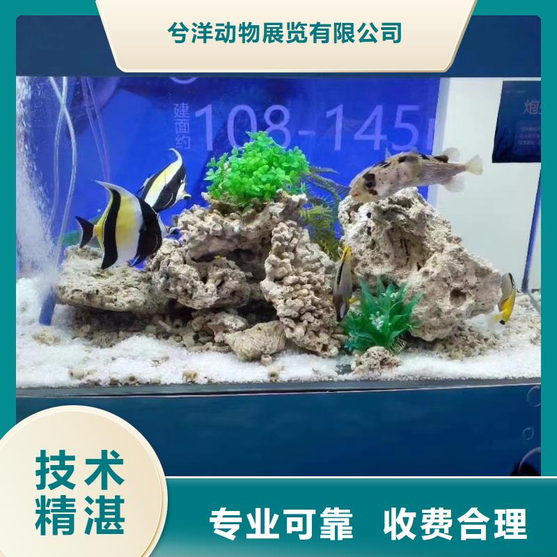 出租海洋生物展價格優惠