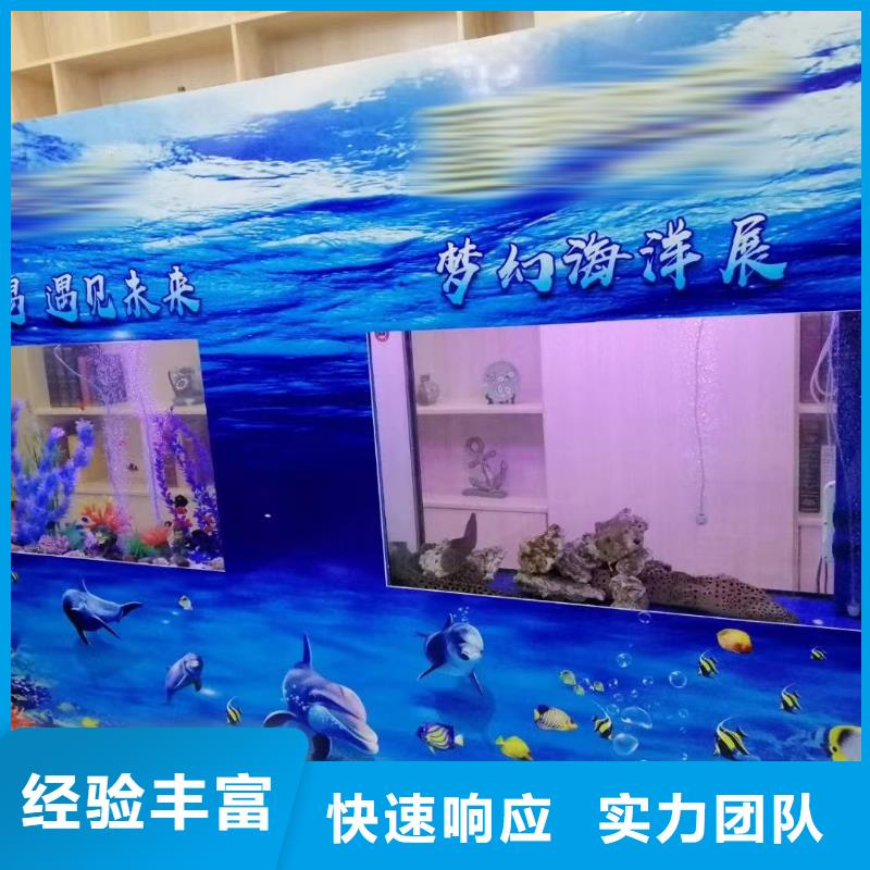 海洋主題動物表演_海洋展租賃實力公司