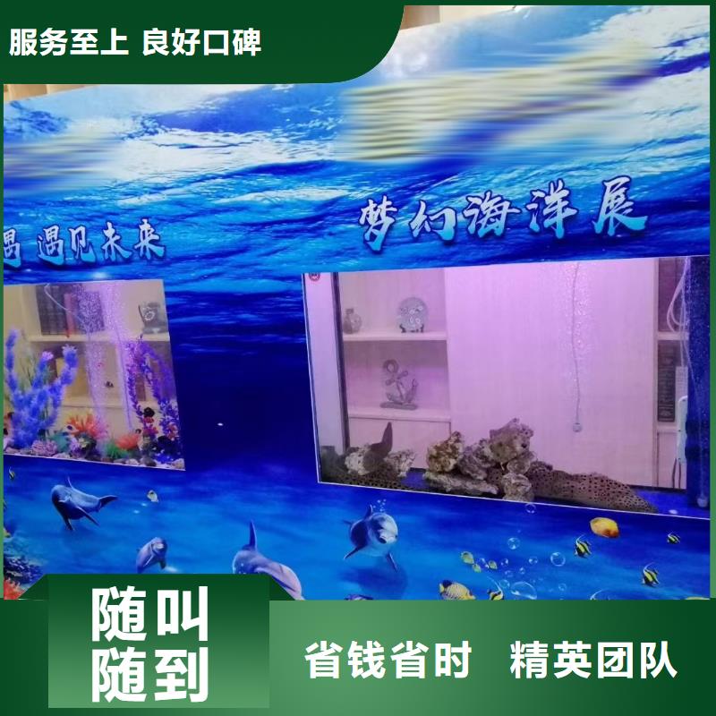 海洋主題動物表演 海洋展租賃好評度高