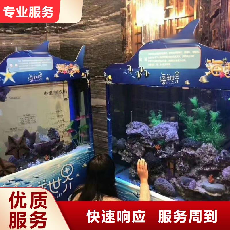 企鵝租賃暖場氣氛