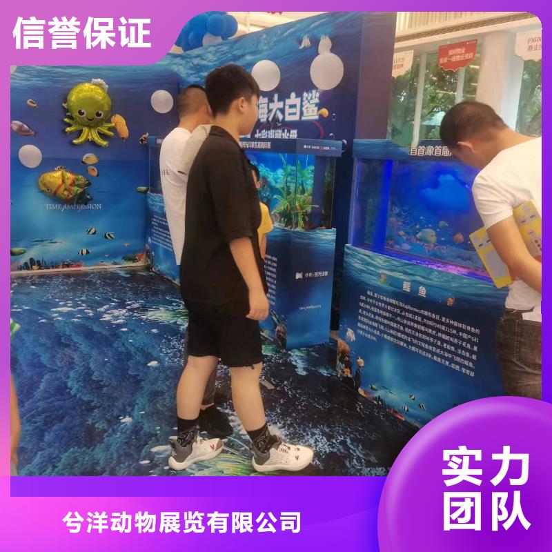 海洋生物展租賃聯系方式