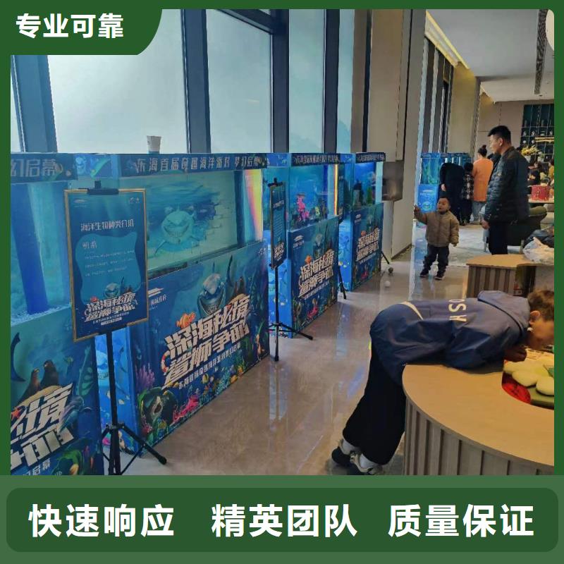 海洋主題動物表演出租海獅表演信譽保證