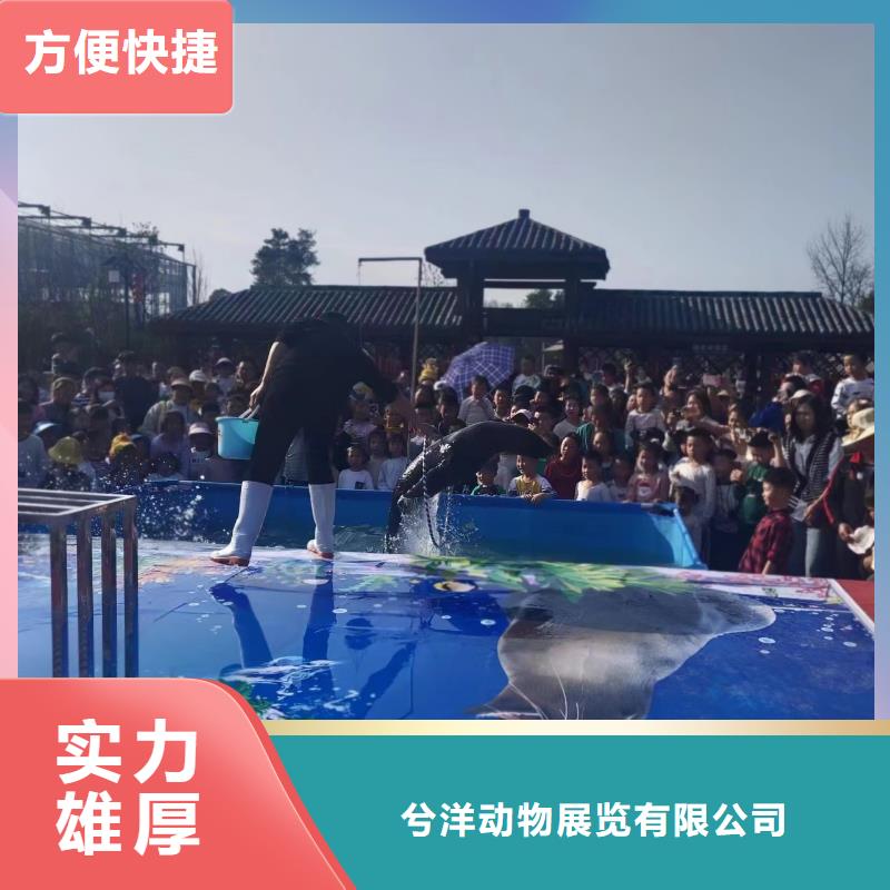 海洋生物展租賃暖場活動