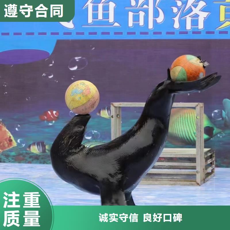 海洋生物魚缸展出租活躍氣氛