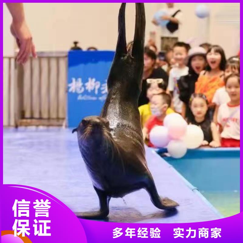 【海洋主題動物表演】鸚鵡表演品質好