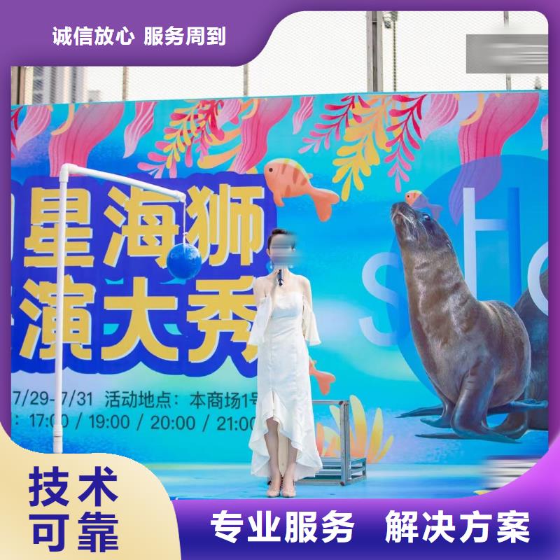 海洋主題動物表演_表演羊駝租賃精英團隊