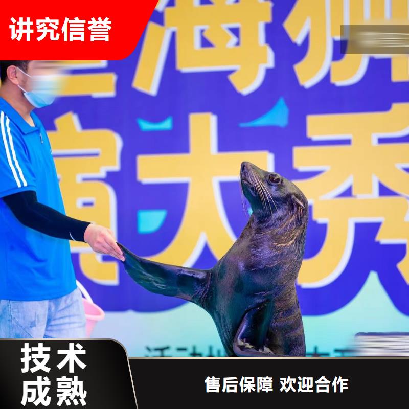 海洋主題動物表演,美人魚表演2025專業的團隊