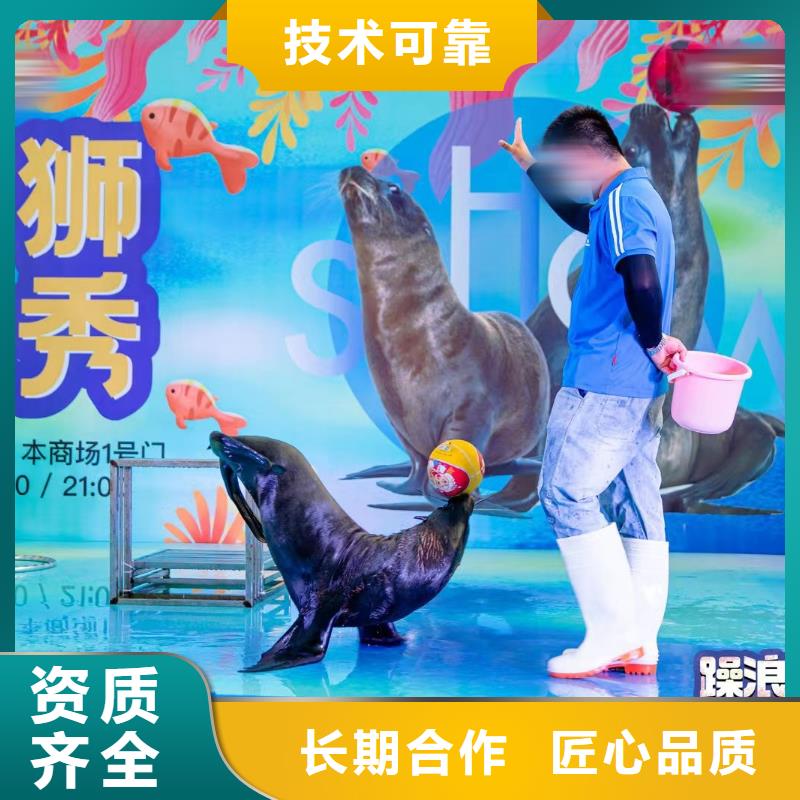 【海洋主題動物表演】,雜耍演出遵守合同