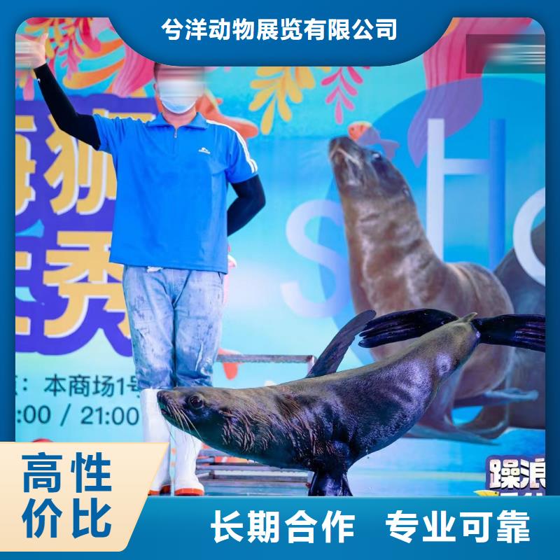 海洋生物展租賃公司