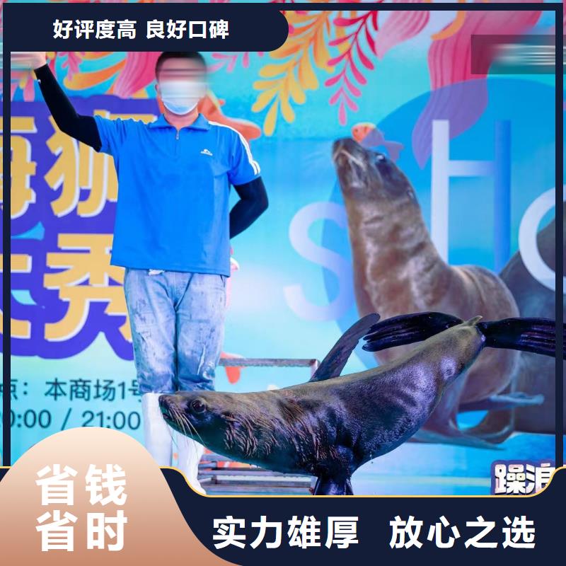 海洋生物魚缸展租賃活躍氣氛