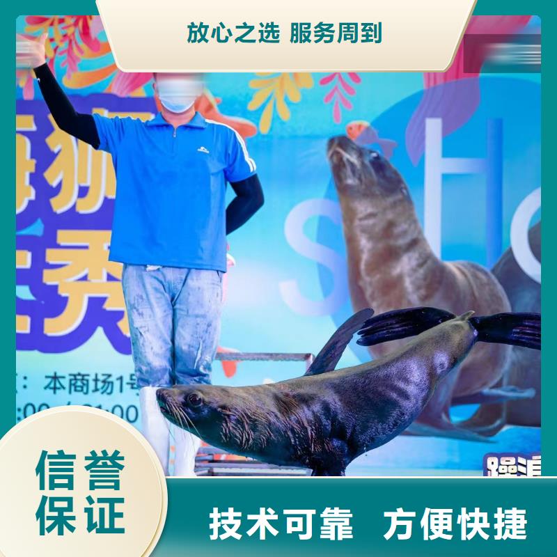 海獅表演租賃公司