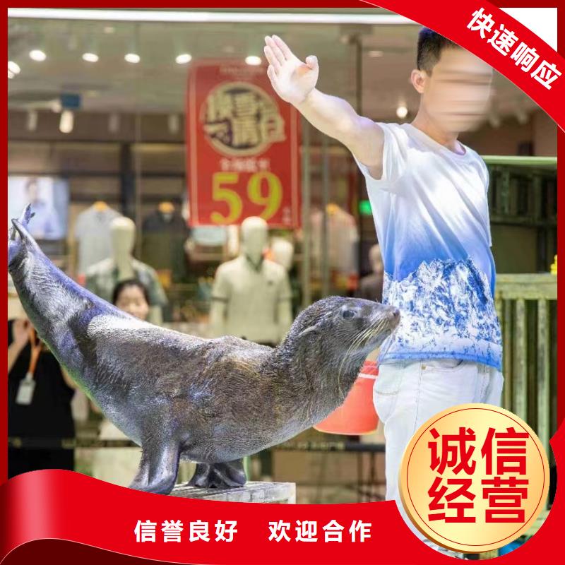 海洋主題動物表演表演動物出租24小時為您服務