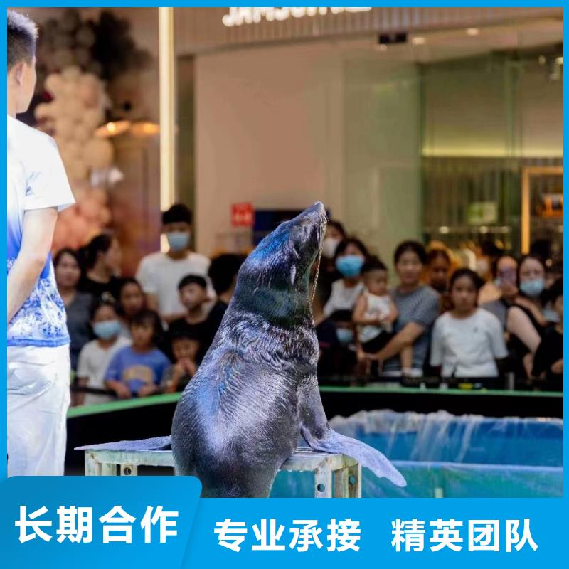 附近美人魚表演出租質量可靠