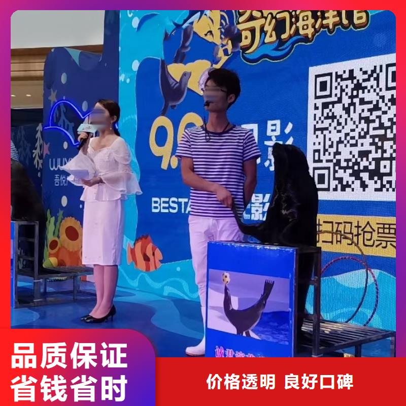 【海洋主题动物表演_小香猪宠物出租遵守合同】