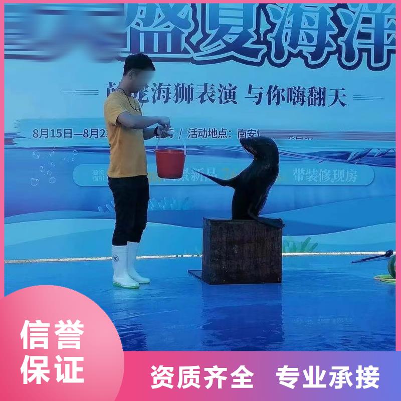 海洋主題動物表演出租馬戲表演專業團隊