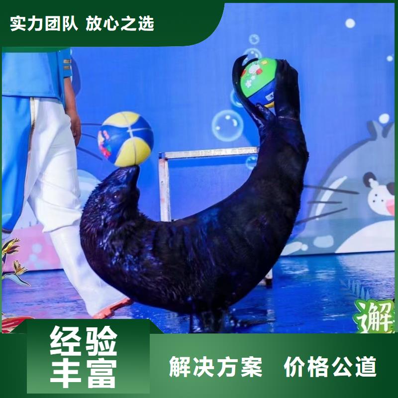 海洋生物魚缸展出租暖場方案