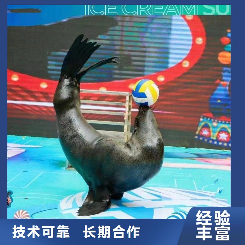 海洋生物展出租实力厂家