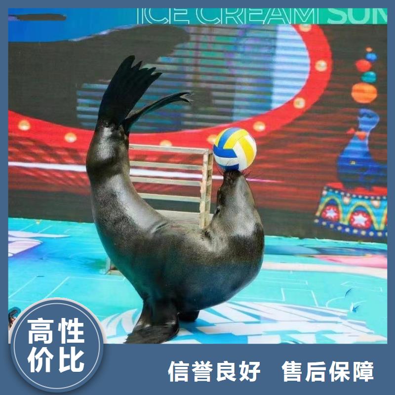 海洋生物鱼缸展出租节日活动